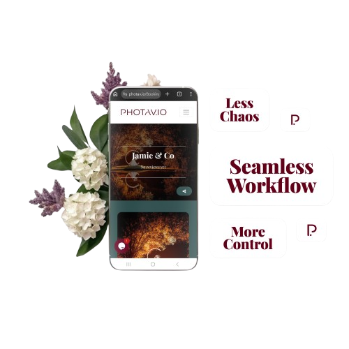 Organised workflow in Photavio